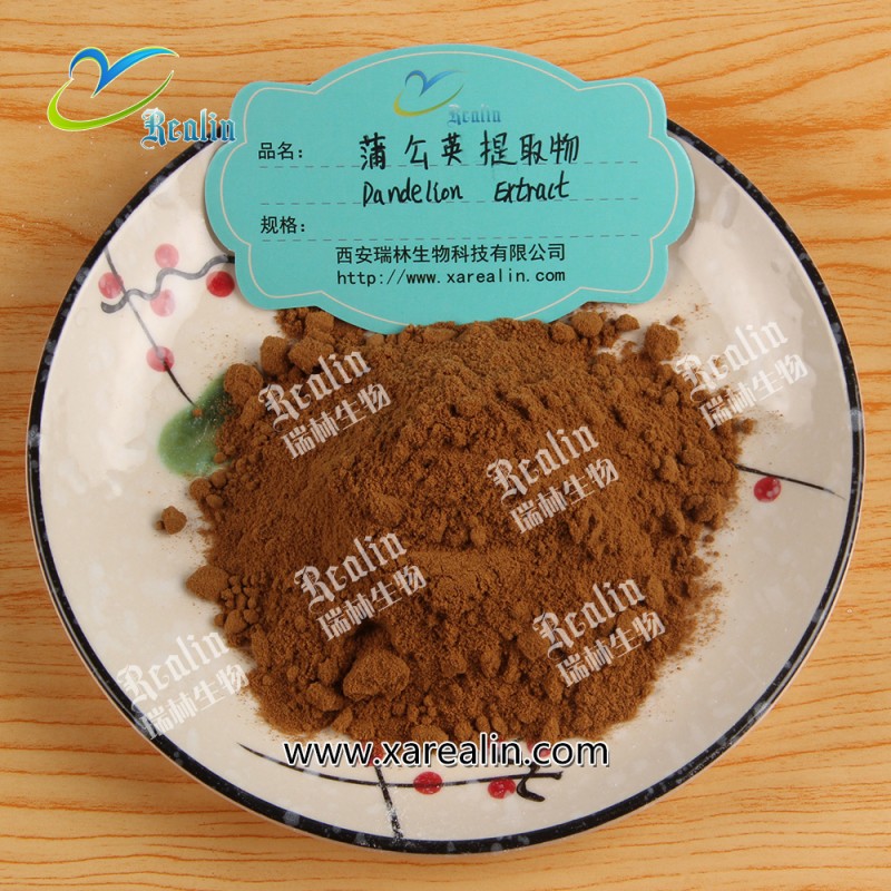 Taraxacum Extract Dandelion Root Extract Powder 10:1