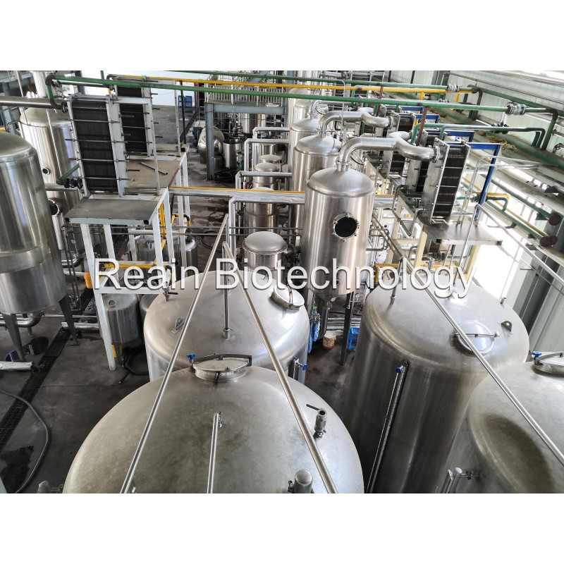 OEM Packaging Turmeric Oil Curcumin Turmeric Oil Oleoresin Curcuma Oil