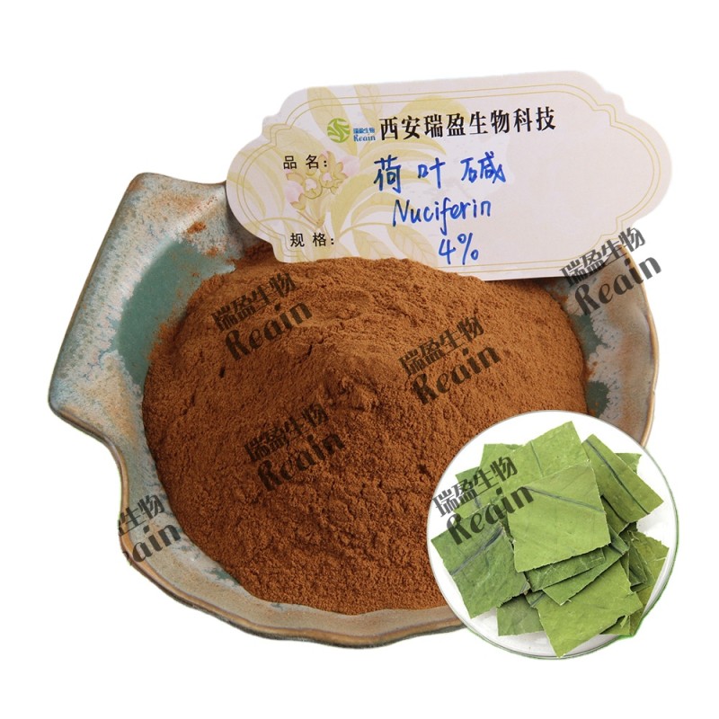 Natural Lotus Leaf Extract P.E. Lotus Leaf Extract Powder Nuciferine