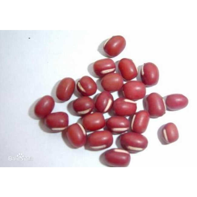 Free Sample Pure Natural Vitamin-Active Instant Red Bean Powder Extract Food Grade Herbal Supplement Drum Plastic Container 1kg