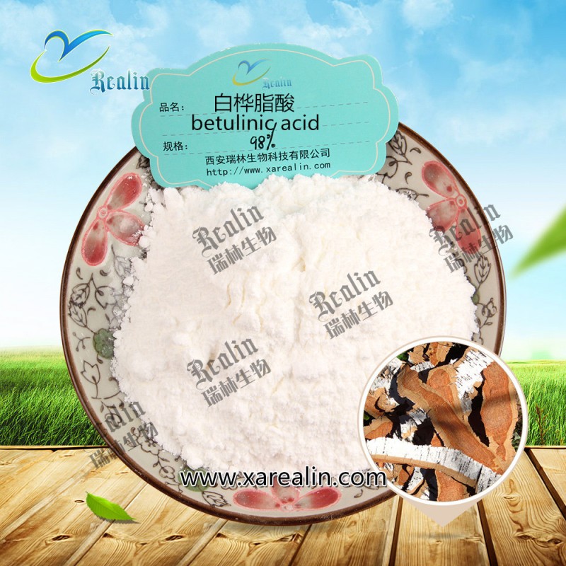 High Purity Natural  White Birch Bark Extract Betulinic Acid Powder CAS 473-98-3 98% Betulinic Acid
