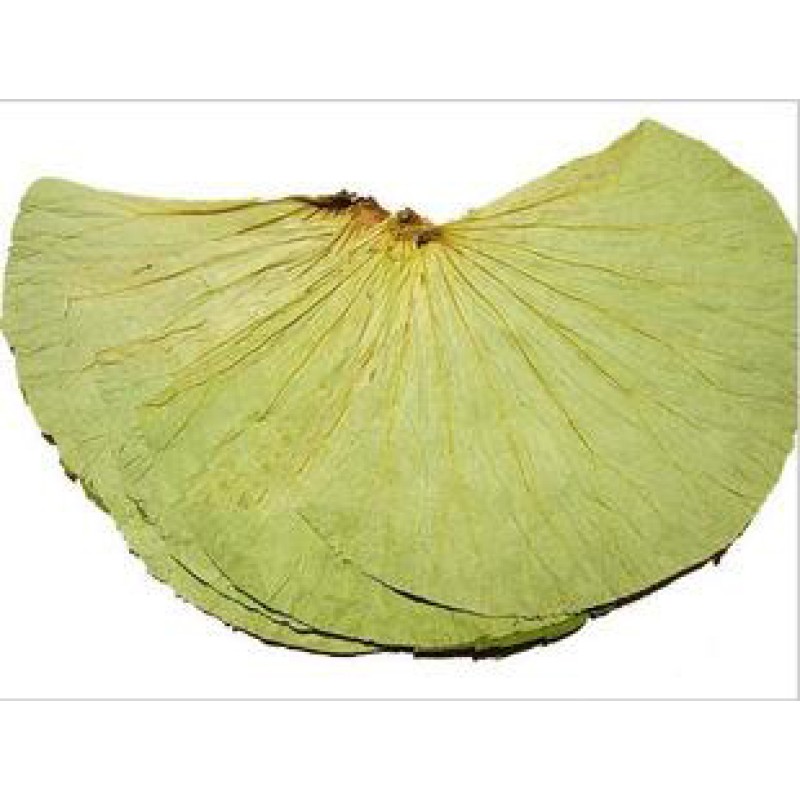 Natural Lotus Leaf Extract P.E. Lotus Leaf Extract Powder Nuciferine