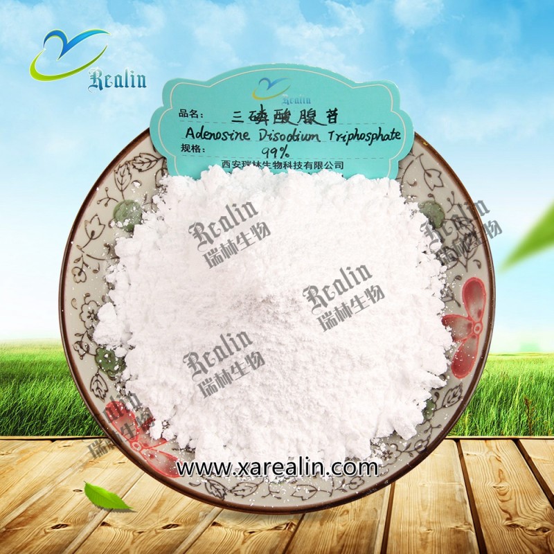 CAS 987-65-5 98% Pure ATP Disodium Salt Adenosine Disodium Triphosphate