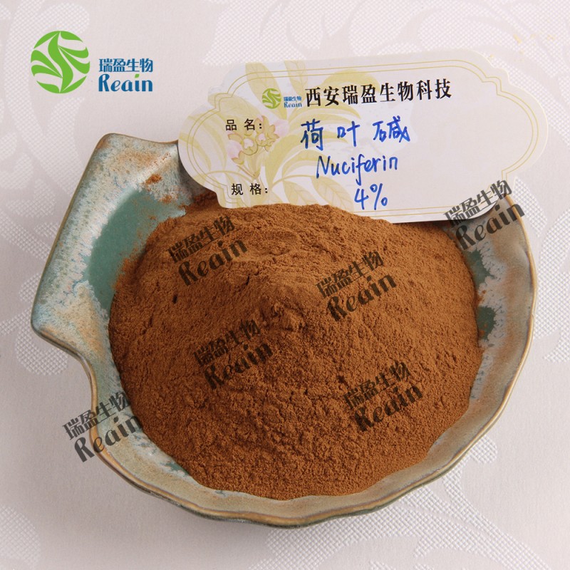 Natural Lotus Leaf Extract P.E. Lotus Leaf Extract Powder Nuciferine
