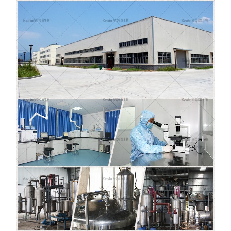 Hydroxyapatite for Pet Foods Toothpaste Raw Materials Hydroxyapatite Powder