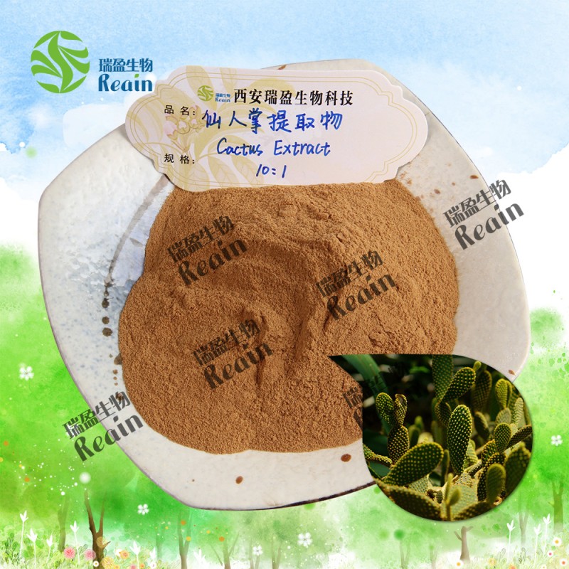 Cactus Extract Powder Opuntia Extract Powder Cactaceae Extract Powder