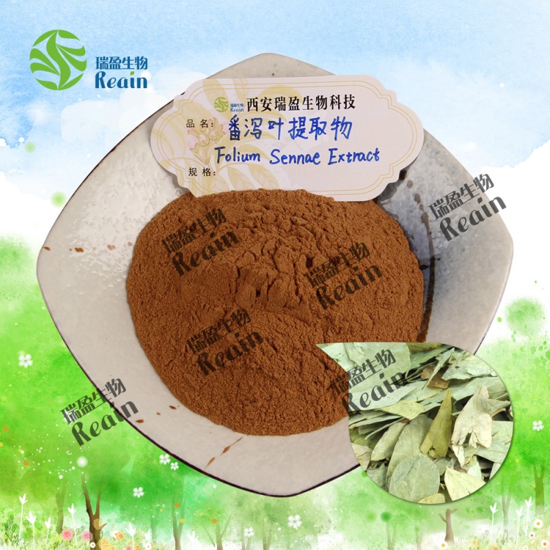 Loss Weight Wholesale Bulk Sennosides Powder 15% 20% Senna Leaf Extract