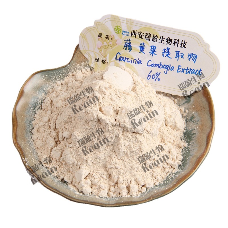Weight Loss 95% HCA Hydroxy Citric Acid Garcinia Cambogia Extract Powder