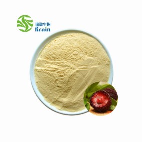 Myricetin Powder Bayberry Fruit Bark Extract 98% Myricetin