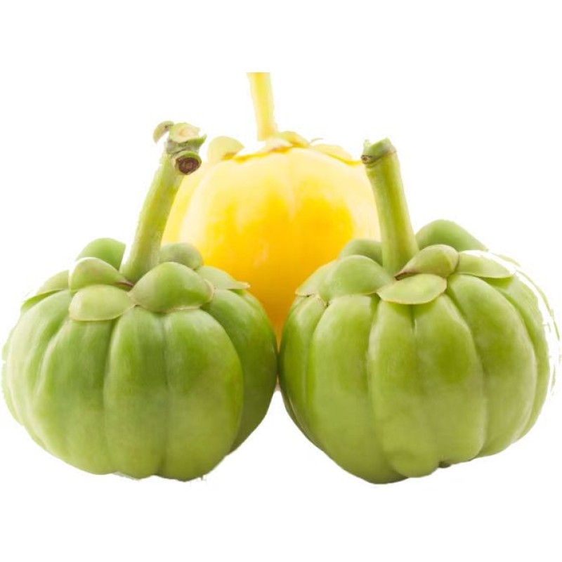 Weight Loss 95% HCA Hydroxy Citric Acid Garcinia Cambogia Extract Powder