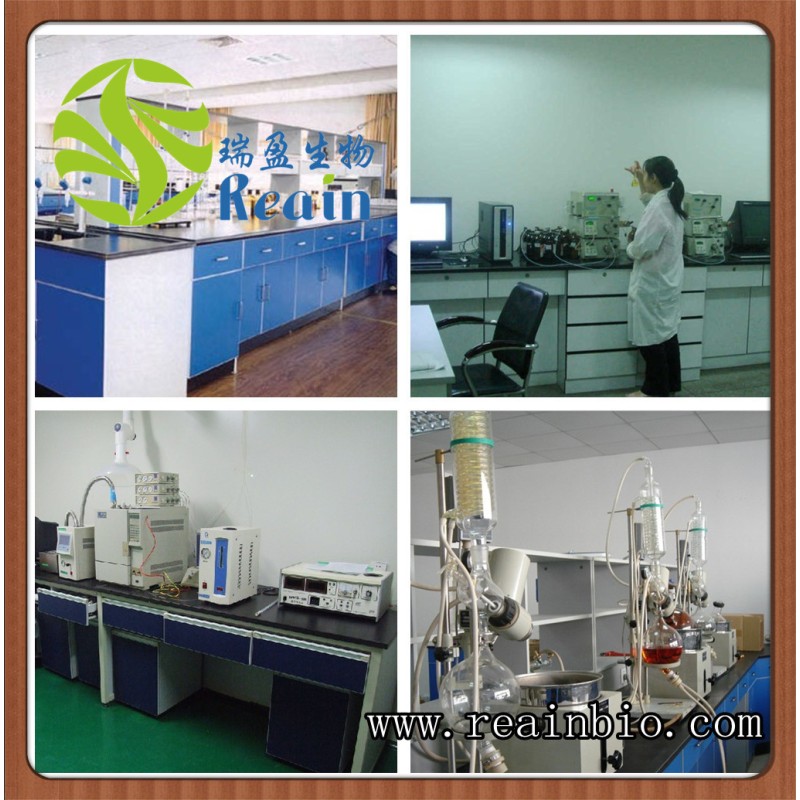 Cosmetic Skin Care Chamomilla Recutita Liquid Essence Chamomile Extract Liquid