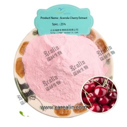 Factory Bulk Supply Acerola Cherry Powder with Vitamin C 17% 25% VC Acerola Cherry Extract Powder