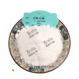 Factory Supply High Purity Nutrient Supplements 99% L-Carnitine Powder