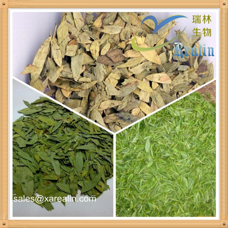 Loss Weight Wholesale Bulk Sennosides Powder 15% 20% Senna Leaf Extract