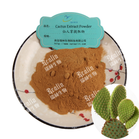 Cactus Extract Powder Opuntia Extract Powder Cactaceae Extract Powder