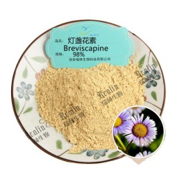 Factory Supply Breviscapine 98% 100g/bag Breviscapine B CAS: 116122-36-2
