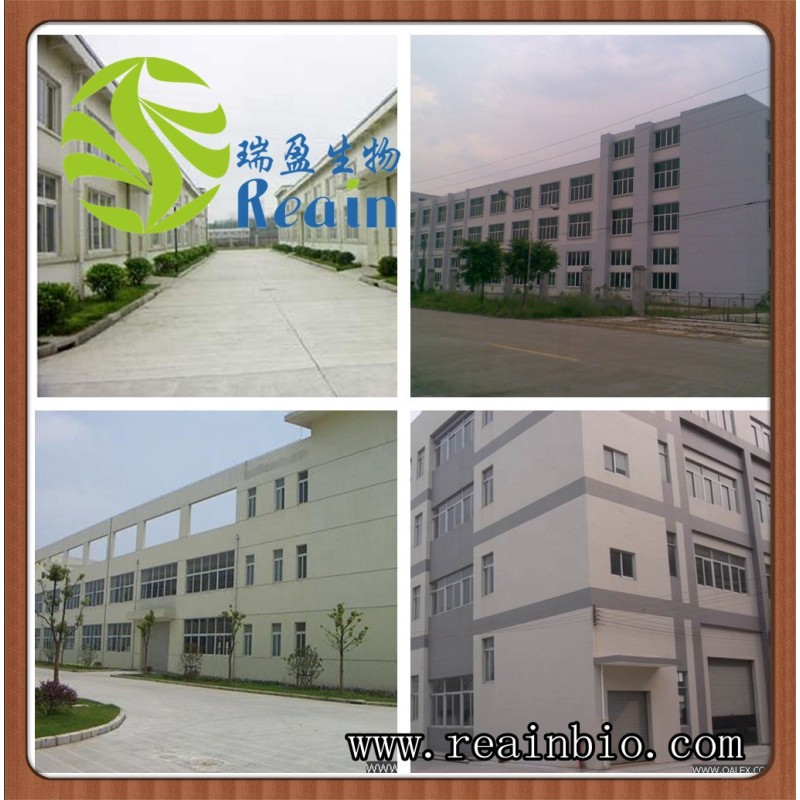 High Quality 99%min Purity Alpha Lipoic Acid Capsules Alpha Lipoic Acid Powder CAS 1077-28-7