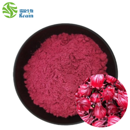 Roselle Extract Powder Hibiscus Sabdariffa 99% Roselle Powder