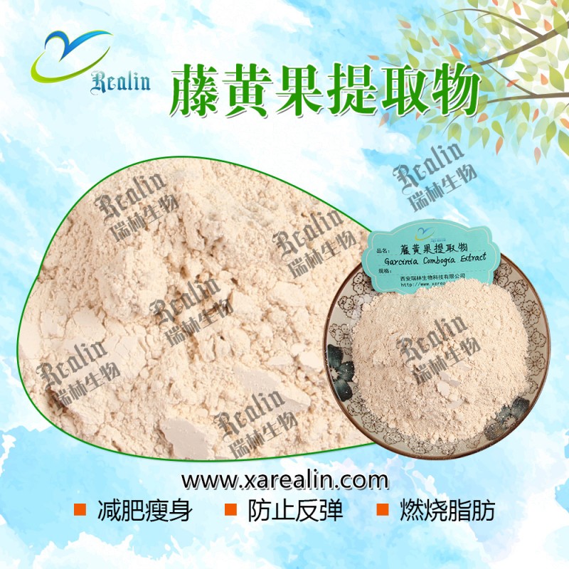 Free Sample Natural 98% Cambogia Hydroxycitric Acid Bulk Garcinia Cambogia Extract Powder