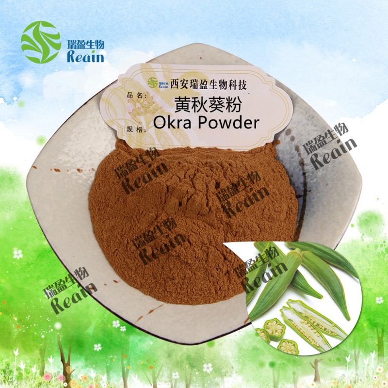 Free Sample Natural 100% Vegetable Powder Bulk Okra Powder