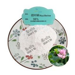 Herb Extract for Weight Loss Lotus Leaf  Extract Powder Nuciferine 98%