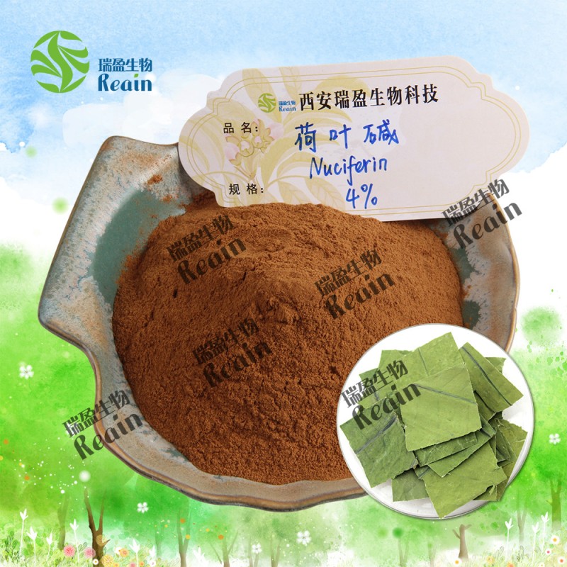 Natural Lotus Leaf Extract P.E. Lotus Leaf Extract Powder Nuciferine