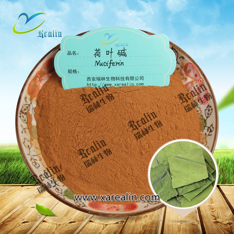 Natural Lotus Leaf Extract P.E. Lotus Leaf Extract Powder Nuciferine