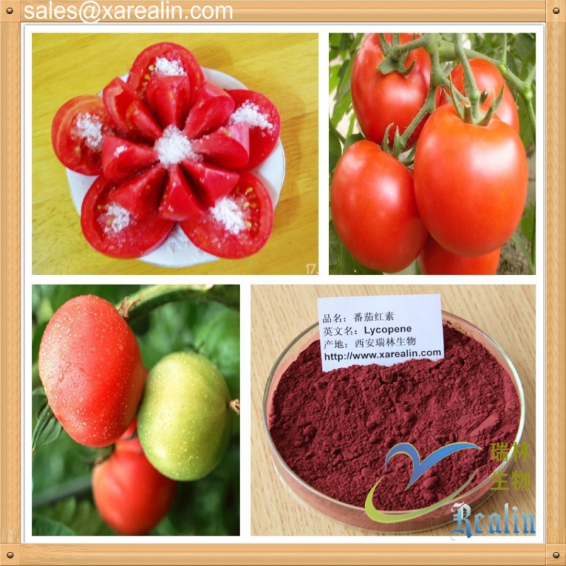 Lycopene Oil 6% Tomato Extract Lycopene Oil