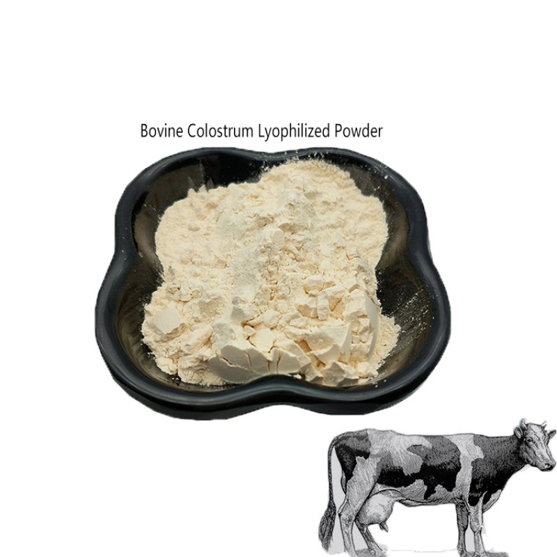 Bovine Colostrum Lyophilized Powder 20% Bovine Colostrum Freeze-dried Powder
