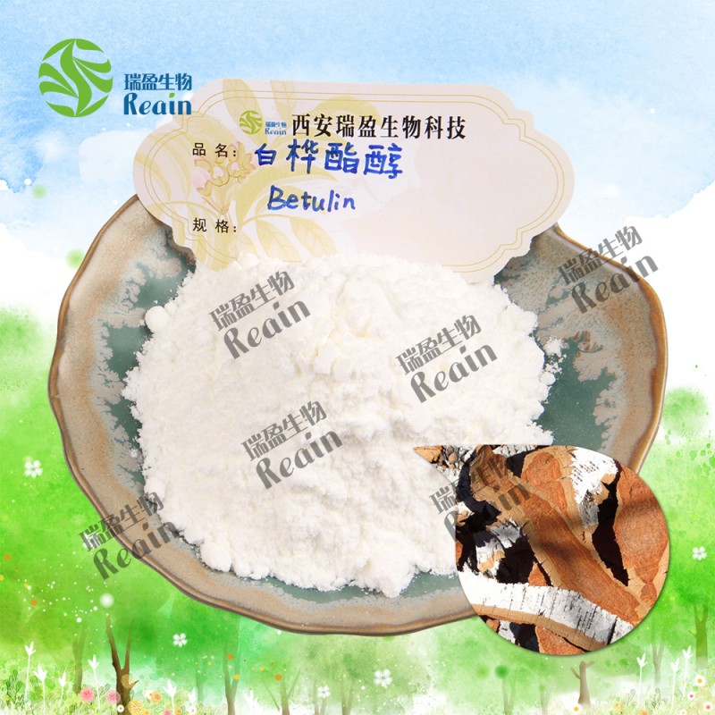 High Purity Natural Betulin Supplement Hair Care White Birch Bark Extract CAS 473-98-3 Betulin Powder 98% Betulin