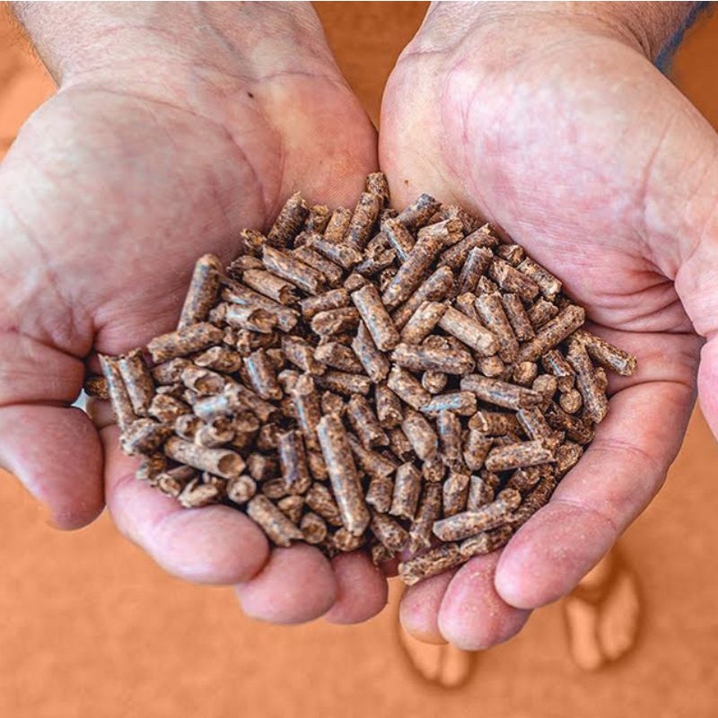 Wood Pellets Supplier - 2024 Bulk Supply