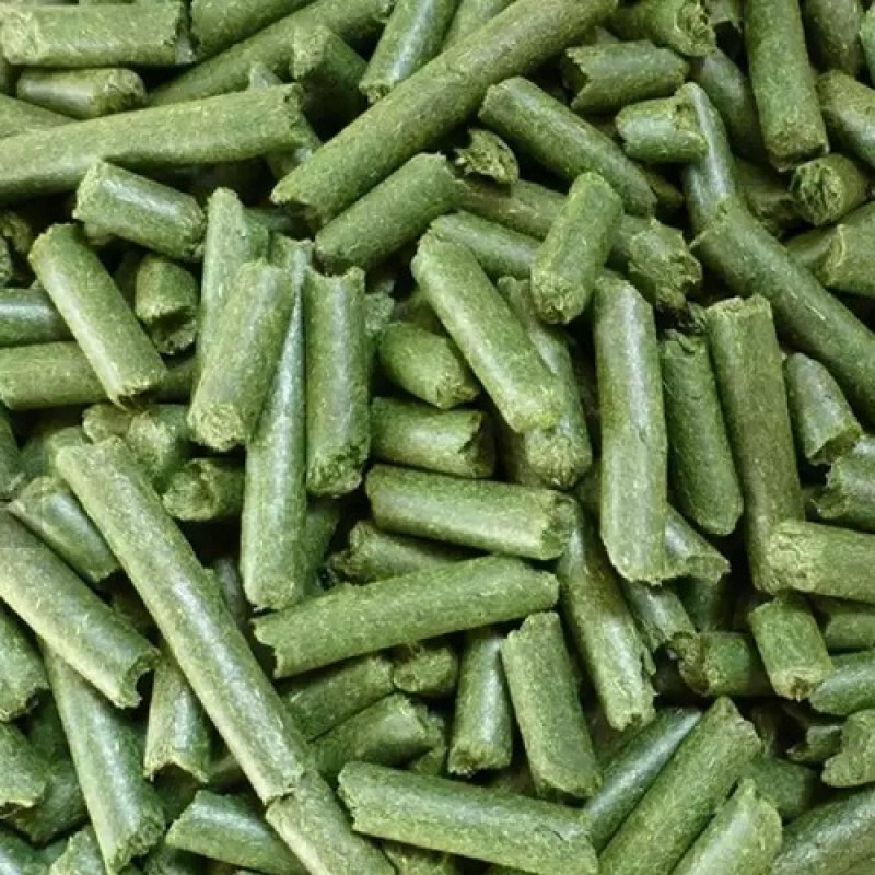 Alfalfa Hay Manufacturer - Top Grade Nutritious