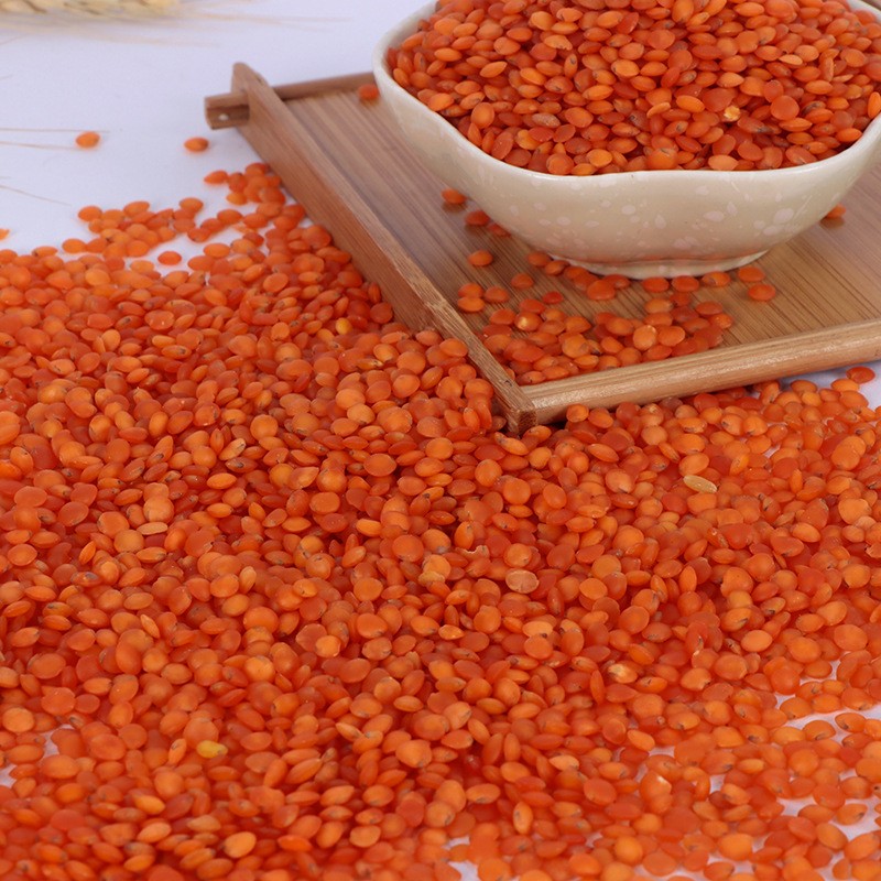 Red Lentils Manufacturer - Organic Ukrainian