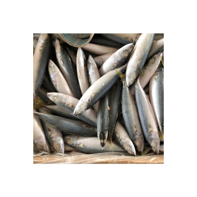 Mackerel Factory - Ukrainian Export Frozen