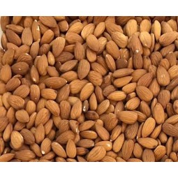 Almond Nuts Supplier - Natural Raw Bulk