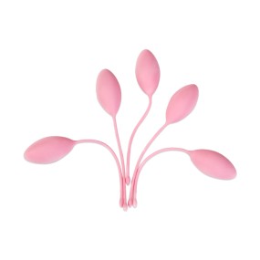 Kegel Weights Supplier - Exercise Control for Beginners Advanced