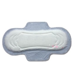 Sanitary Napkins Factory - Disposable Anion