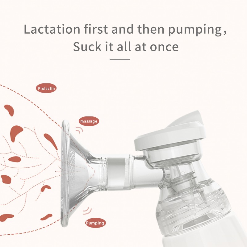 Food Grade Pump Supplier - Electrical Double Hand Free