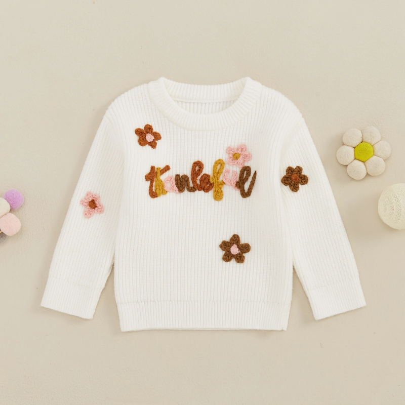 Thanksgiving Sweater Supplier - Ribbed Knitted Pullover
