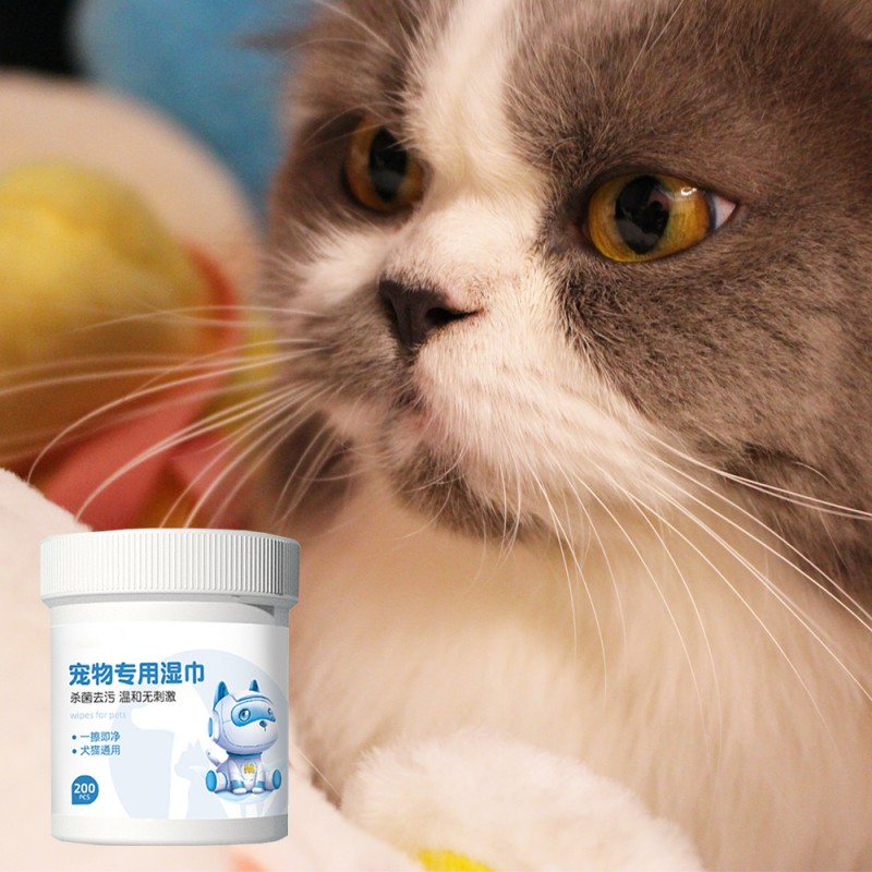 Pet Cleaning Wipes Manufacturer - OEM Eco Friendly Premium