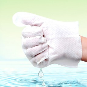 Pet Wipes Supplier - Grooming Gloves Biodegradable Dogs