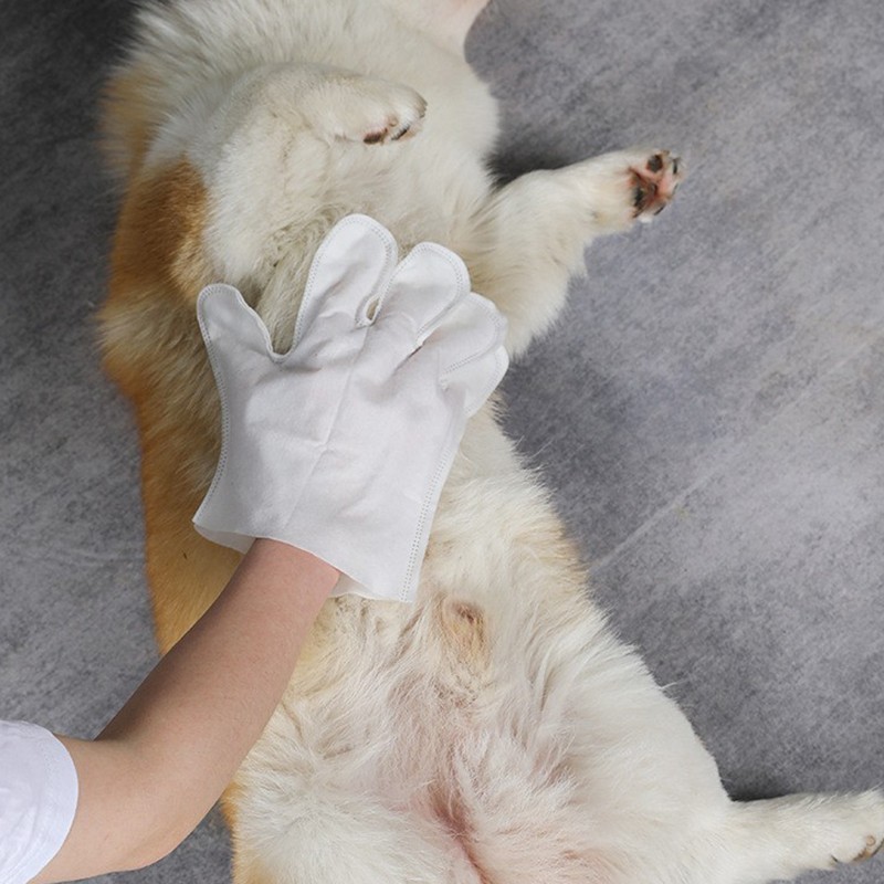 Pet Wipes Supplier - Grooming Gloves Biodegradable Dogs