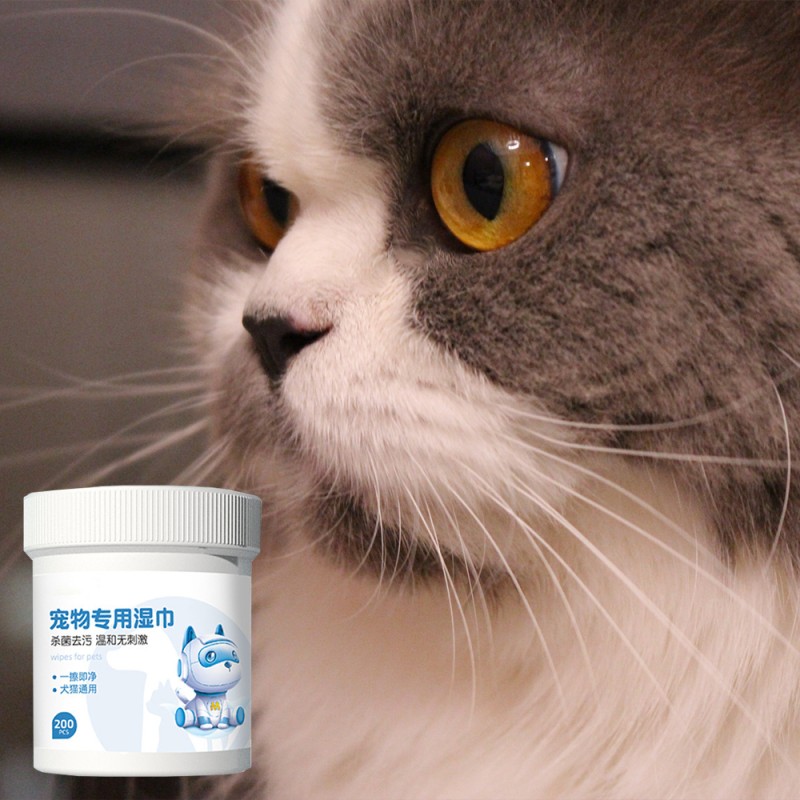 Pet Cleaning Wipes Manufacturer - OEM Eco Friendly Premium