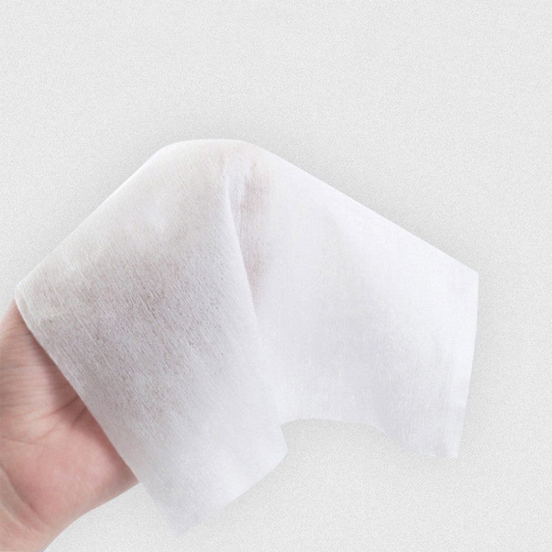 Wet Wipes Factory - Free Sample Extra Large Flushable