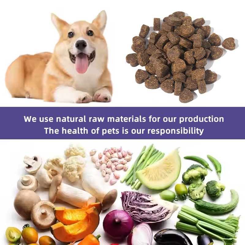 Wholesale Daily Health Supplements and Chewable Tablets for Cats and Dogs 12 Types of Probiotics to Protect Pet Health