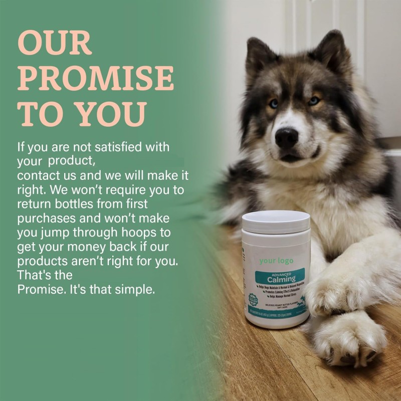 Natural Ingredient Pet Health Calming Soft Chew Tablets Help Dogs Relieve Separation Anxiety Cope with Environmental Changes