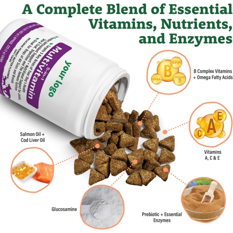 Pet Multivitamins Supplement Nutrition Freeze Dried Chews Supplement for Dog Support Overall Health With Minerals