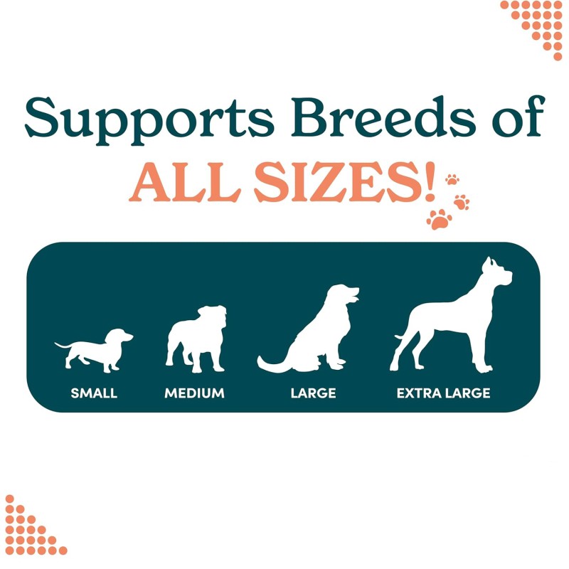 Custom OEM Fast-Acting Pet Calming Supplement Natural Ingredients Anxiety Relief Chews for Dogs Cats