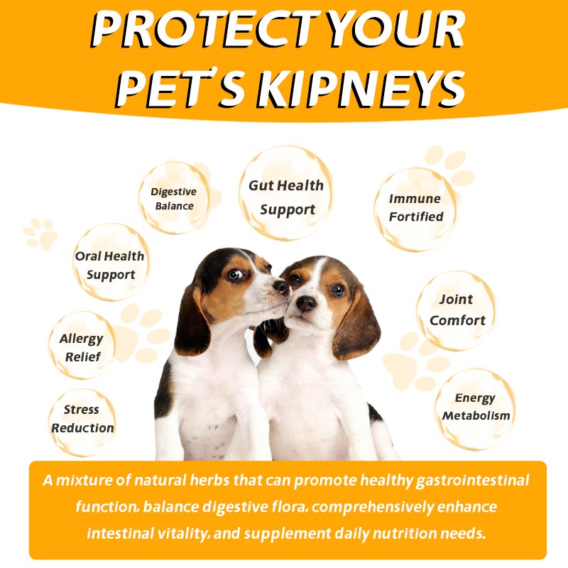 Pet Yuan Wholesale Pet Supplement Flavor Probiotics Soft Chews Probiotic Soft Chews for Pet Gut Health