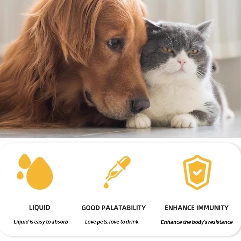 China Supplier  Urinary Nutrient Solution Pet Nutritional Supplement Pet Nutrition Solution